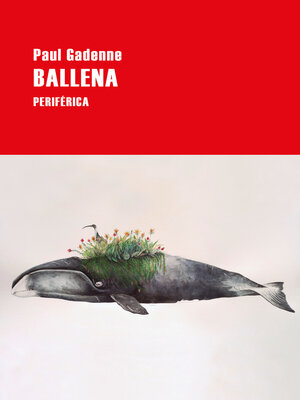 cover image of Ballena